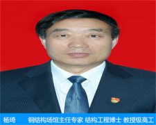 楊琦—鋼結構場館主任專
